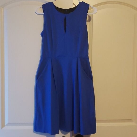Cynthia Rowley Womens Sleeveless Fit and Flare Blue Dress with Pockets Sz Small - Picture 1 of 4